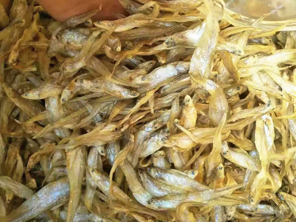 龙溪食材配送