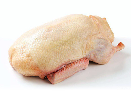 鸭肉