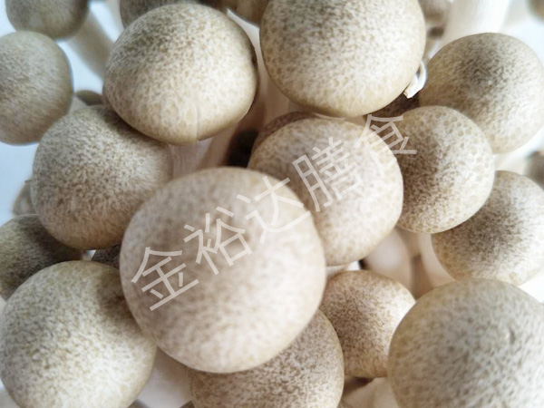 工厂蔬菜配送
