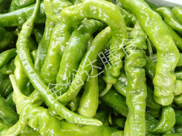 清溪蔬菜配送