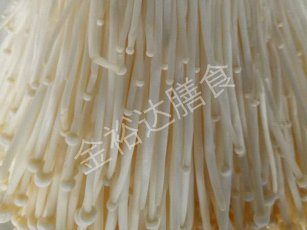 学校蔬菜配送